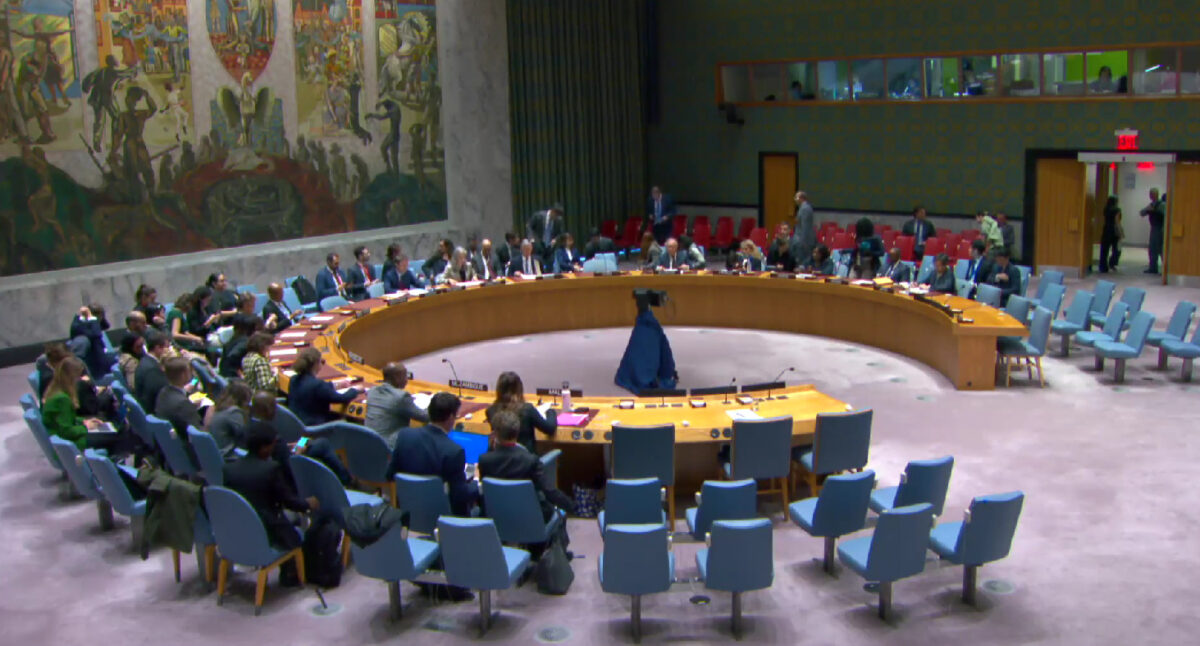 United Nations Security Council